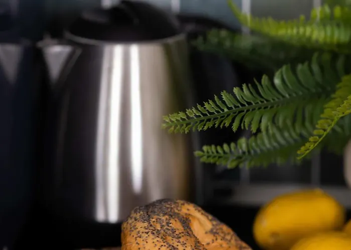 Elegant Szafrancow By Renters *